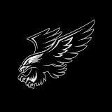🦅SOKOLL CHANNEL