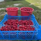 Агротуризм ~ Белгород