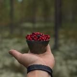 Север в сердце | северная кухня