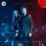 Документалист