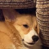 #бандаютуба - НИЩИЕ КРУЖКИ ОЧКОШНИКОВ