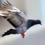 Параметр📣📻