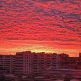 Пиар чат бесплатно