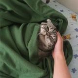 🥥BĘŚŤFŘÍÉÑD🥥