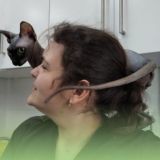 Ветклиника «ВАСИЛЁК»