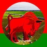 Уютная Беларусь 🇧🇾