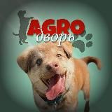 Ꭺᴦᴩᴏ Ꭰʙᴏᴩьᶜʰᵃⁿⁿᵉˡ