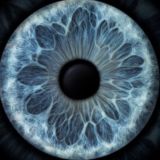 Поиск истины | odnaizvas