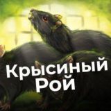 Крысиный Рой КОНКУРС 🐀💰