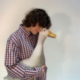 Продвижение из любви