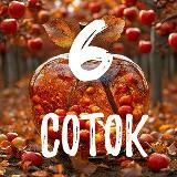6 соток 🏡
