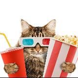 Киномания | Фильмы достойные внимания