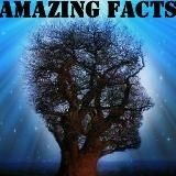 Забавные вещи. Забавные новости. Amazing news. Amazing things.