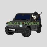 Black Panda Limited
