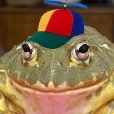 Вестник дури