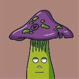 Ton Mushrooms NFT