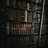 Читая книгу...