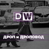 Услуги дроповода - Банки, Верификации - Drop Wood