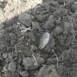 В Поисках старины Одесса (Хроники Демидово)