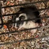 Общаловка админов