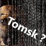 🦊 Зоофашизм в Томске не пройдёт 🦊