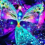 Наша эволюция