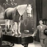 Кирилл и его конь-тент