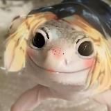 𝙷𝙺 𝙲𝚘𝚛𝚗𝚎𝚛