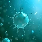 Коронавирус-инфо / АДЫГЕЯ