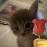 Хочешь пообщаться? Заходи 🤍👻