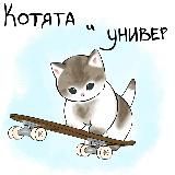 Котята и универ