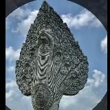 ប្រយុទ្ធ