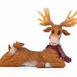 Полярный взгляд