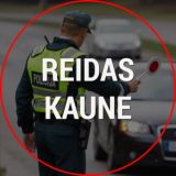 Reidas Kaune | Trikojis Kaune