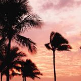 ᴅᴀɢ l ᴍᴜᴢ ོ乂