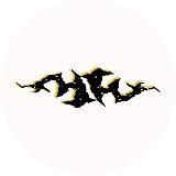 Золотые зубы