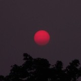 ищу друзей | сп 🐰