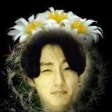 Ночлег Рома