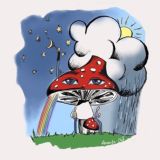 🍄Чат Amanita.Club🍄 - микродозинг целебных грибов