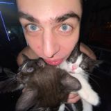 Котик, но не грустный Chat