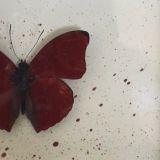 переходник.