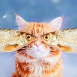 Ни рыба ни мяусо