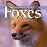 🦊 Fox Talks ❤️ 🇺🇦