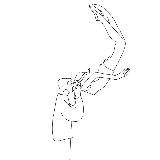 Кофейня МЕЧТАТЕЛИ