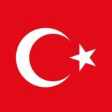 Türklerın Dünyası