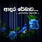 ආදර රේඛාව.....💙✨