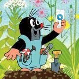 Солевые мемы