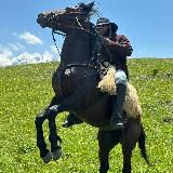 Конный клуб Абрек