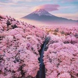 💙Àňímē půbľíć💙