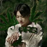 Исполнительный отдел.